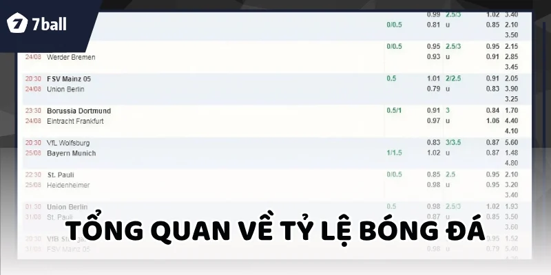 Tỷ lệ bóng đá
